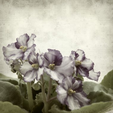 desenli eski kağıt arkaplan  