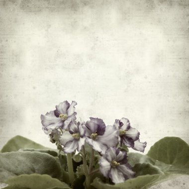 desenli eski kağıt arkaplan  