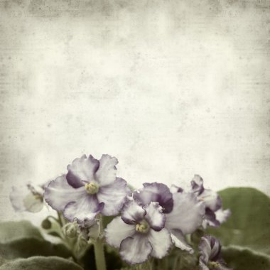 desenli eski kağıt arkaplan  