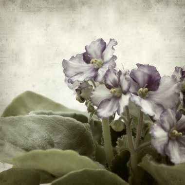 desenli eski kağıt arkaplan  