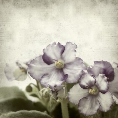 desenli eski kağıt arkaplan  