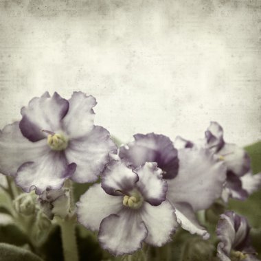 desenli eski kağıt arkaplan  