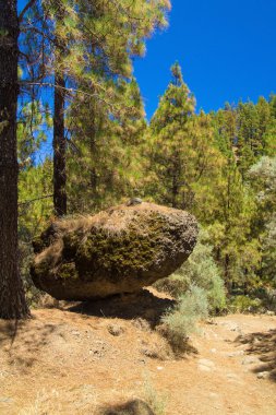 İç Gran Canaria