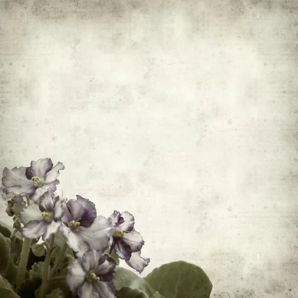 desenli eski kağıt arkaplan  