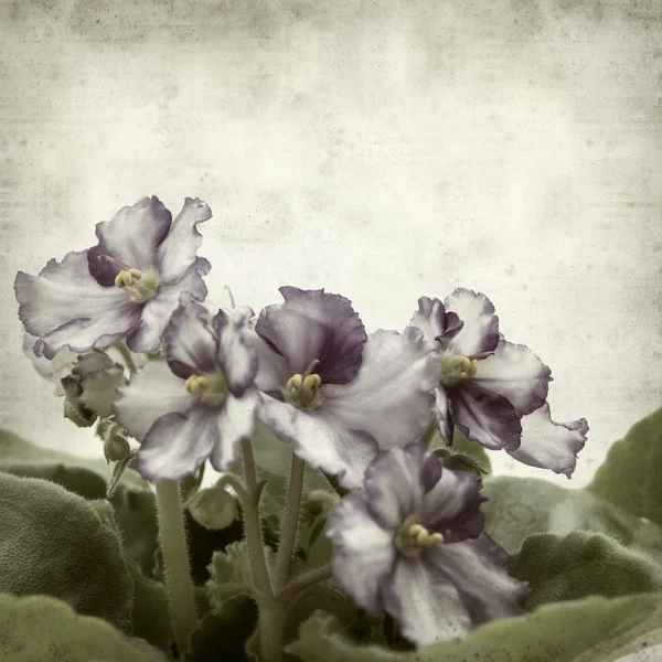 desenli eski kağıt arkaplan  