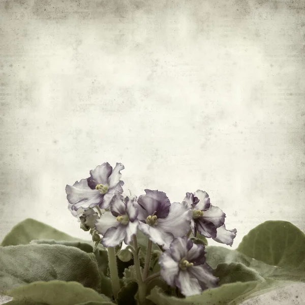 desenli eski kağıt arkaplan  