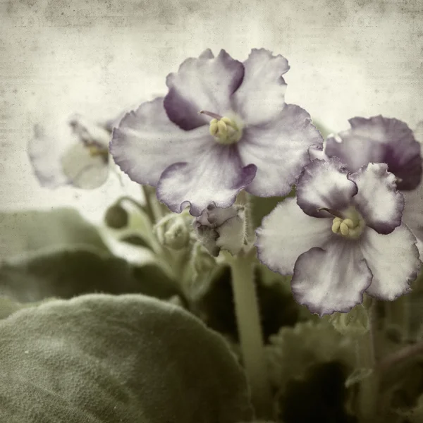 desenli eski kağıt arkaplan  