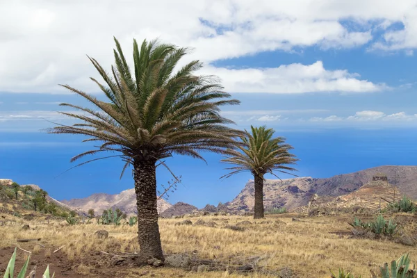 La Gomera, Kanarische Inseln, Blick auf die Südküste — Stockfoto