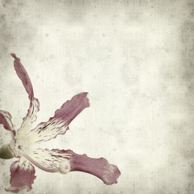 desenli eski kağıt arkaplan  