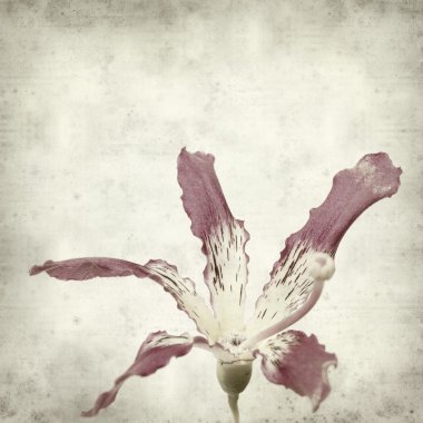 desenli eski kağıt arkaplan  