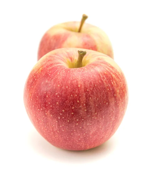 Červené a žluté jablka, samostatný — Stock fotografie