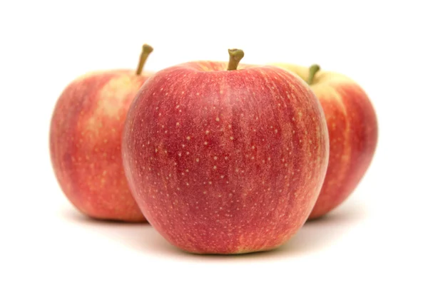 Red and yellow apples isolated — Stock Photo, Image