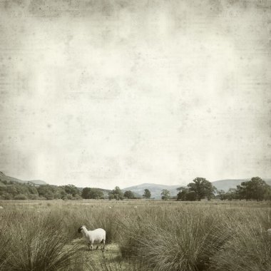 desenli eski kağıt arkaplan