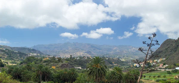 Gran canaria interior — Fotografia de Stock