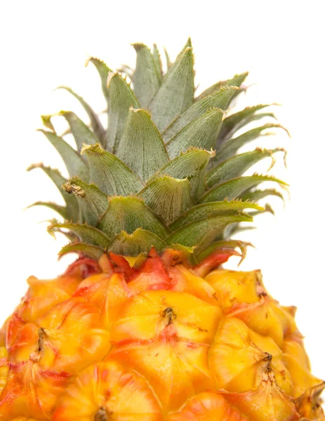 Top of pineapple Stock Image
