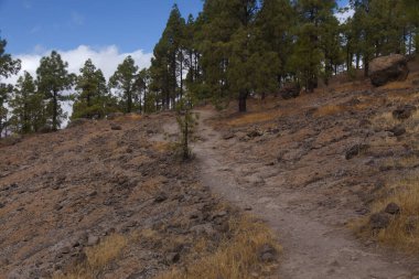 Gran Canaria, adanın merkezi manzarası, Las Cumbres, ie The Summits, Roque Nublo yolu boyunca uzanan manzaralar