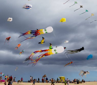 Fuerteventura, İspanya - 16 Kasım 2025: İzleyiciler Corralejo 'nun Doğa Parkı Kumulları' ndaki Uluslararası Uçurtma Festivali 'nde çok renkli uçurtmaların keyfini çıkarıyorlar