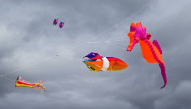 Fuerteventura, İspanya - 16 Kasım 2025: İzleyiciler Corralejo 'nun Doğa Parkı Kumulları' ndaki Uluslararası Uçurtma Festivali 'nde çok renkli uçurtmaların keyfini çıkarıyorlar