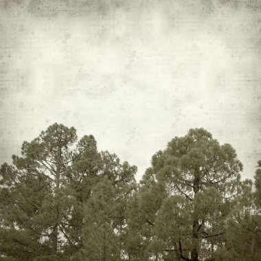 desenli eski kağıt arkaplan