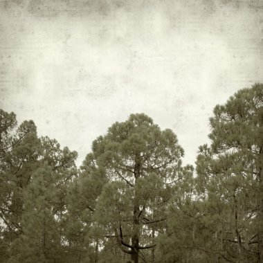 desenli eski kağıt arkaplan