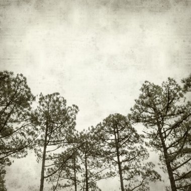 desenli eski kağıt arkaplan