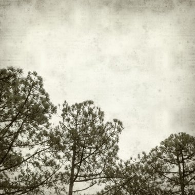 desenli eski kağıt arkaplan