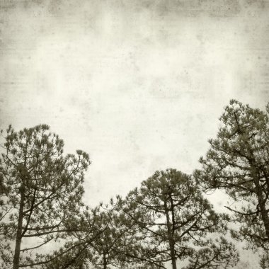 desenli eski kağıt arkaplan