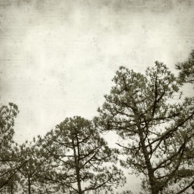 desenli eski kağıt arkaplan