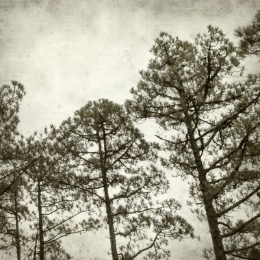 desenli eski kağıt arkaplan