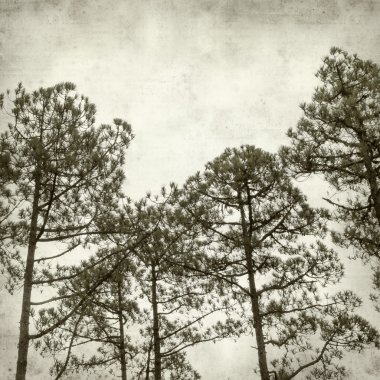 desenli eski kağıt arkaplan