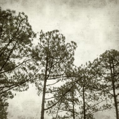 desenli eski kağıt arkaplan