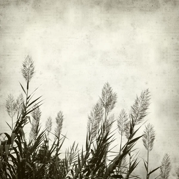 Textured old paper background — Stock Photo, Image