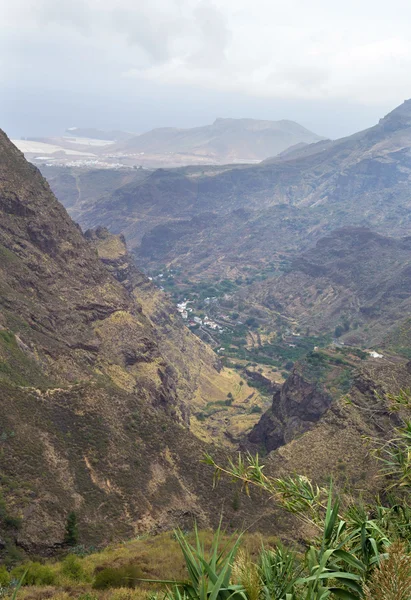 Gran Canaria, valley of Agaete — Stock Photo, Image
