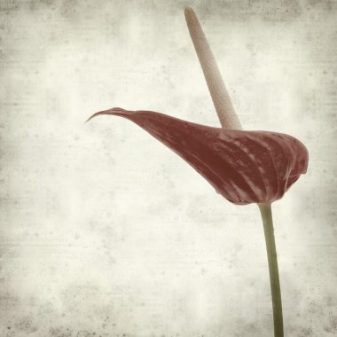 desenli eski kağıt arkaplan