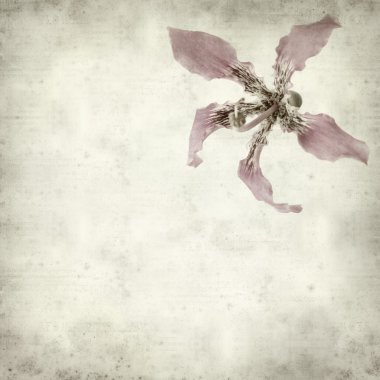 desenli eski kağıt arkaplan