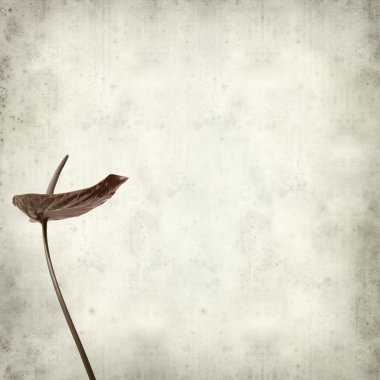 desenli eski kağıt arkaplan