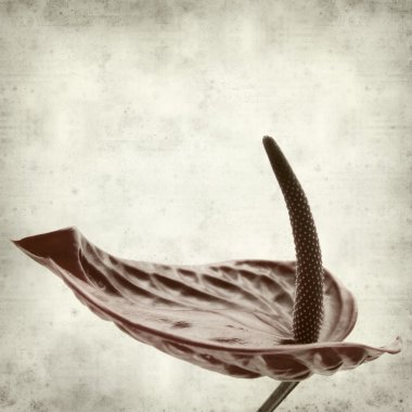 desenli eski kağıt arkaplan