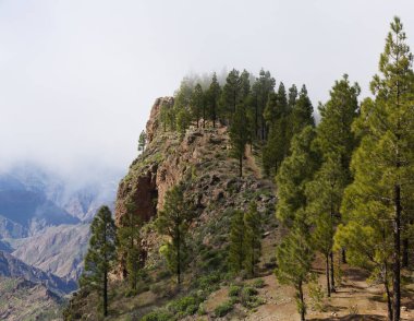 Gran Canaria, adanın merkezi anıtsal kısmının manzarası, Las Cumbres, ie The Summits, Cruz de Tejeda geçidi ve Artenara köyü arasındaki hikingroute