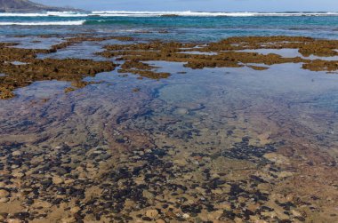 Las Canteras plajı, Las Palmas de Gran Canaria 'daki ana kasaba plajı, kış fırtınaları ve mevsimsel akıntılar Cicer, Pena de la Vieja ve Playa Chica sahillerindeki kumların bir kısmını kaldırdı.