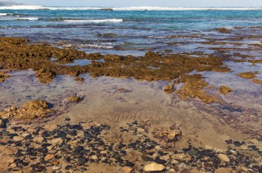 Las Canteras plajı, Las Palmas de Gran Canaria 'daki ana kasaba plajı, kış fırtınaları ve mevsimsel akıntılar Cicer, Pena de la Vieja ve Playa Chica sahillerindeki kumların bir kısmını kaldırdı.