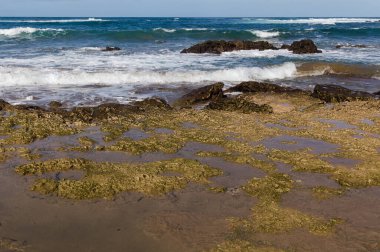 Las Canteras plajı, Las Palmas de Gran Canaria 'daki ana kasaba plajı, kış fırtınaları ve mevsimsel akıntılar Cicer, Pena de la Vieja ve Playa Chica sahillerindeki kumların bir kısmını kaldırdı.