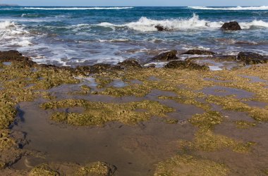 Las Canteras plajı, Las Palmas de Gran Canaria 'daki ana kasaba plajı, kış fırtınaları ve mevsimsel akıntılar Cicer, Pena de la Vieja ve Playa Chica sahillerindeki kumların bir kısmını kaldırdı.