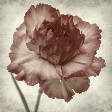 desenli eski kağıt arkaplan