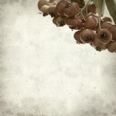 desenli eski kağıt arkaplan