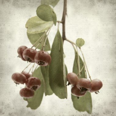 desenli eski kağıt arkaplan