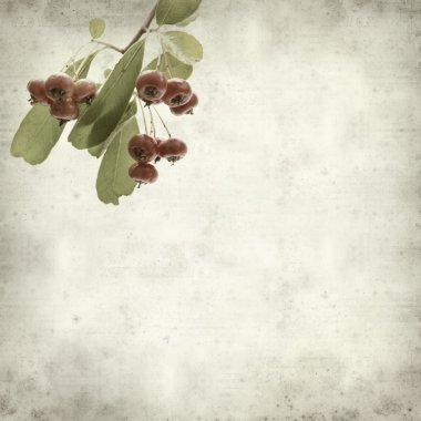 desenli eski kağıt arkaplan