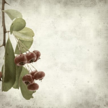 desenli eski kağıt arkaplan