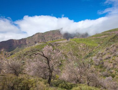 Gran canaria, caldera de tejeda