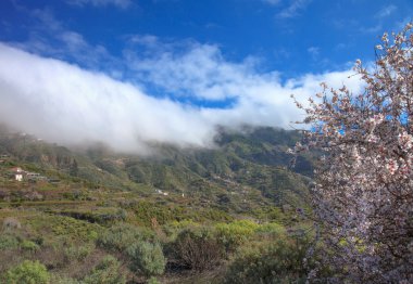 Gran canaria, caldera de tejeda