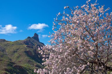 Gran canaria, caldera de tejeda
